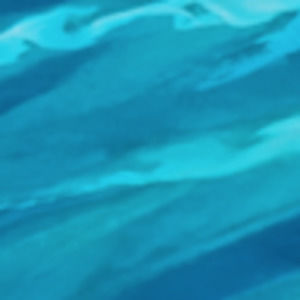 Meet your Posher, Abbey